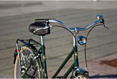 Taurus Martinella Vert 6V