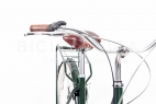 Comprar Bicicleta de Paseo Capri Berlin Verde Inglés Nexus 3V