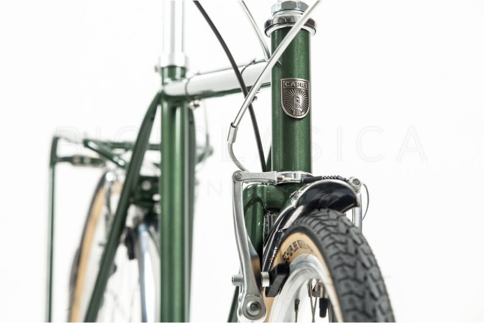 Comprar Bicicleta Capri Man Berlin Jungle Green Nexus - Xabi