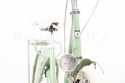 Comprar Bicicleta de Paseo Capri Berlin Verde-Crema 7 velocidades B-Stock