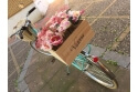 Comprar Caja de Madera para Bicicleta Victoria Láminas