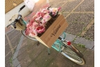 Comprar Caja de Madera para Bicicleta Victoria Láminas