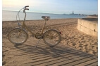 Comprar Bicicleta Plegable Bambina Verde Inglés - Reacondicionado