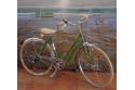 Comprar Guardabarros Randonneur Turtle Aluminio 26" (590) 45 mm