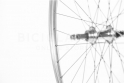 Comprar Rueda para Bicicleta de Paseo 28" aluminio 700C (ETRTO 635x24) Doble pared - Trasera