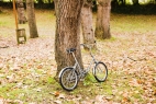 Comprar Bicicleta Plegable Capri VITA Melting Silver 20 pulgadas B-stock