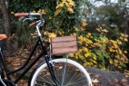 Comprar Caja de Madera para Bicicleta de Láminas - Oliva