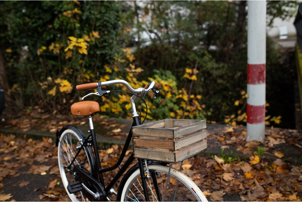 Comprar Caja de Madera para Bicicleta de Láminas - Oliva