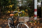 Comprar Caja de Madera para Bicicleta de Láminas - Oliva