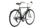 Comprar Bicicleta eléctrica Capri Lyon verde ingles 7V