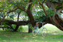 Comprar Vélo électrique Capri Berlin vert pastel 7V