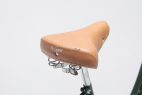 Comprar Bicicleta de paseo vintage Capri Valentina Verde Inglés