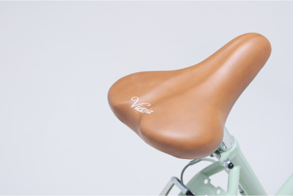 Buy Retro Capri Carolina 24" Pastel Green Retro Touring Bike - Reconditioned