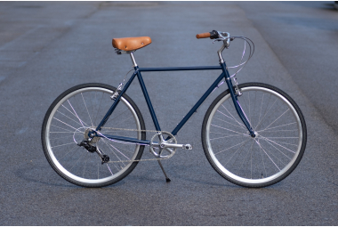 Capri Urban Bike Weimar...