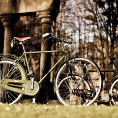 bicicleta varillas taurus corinto verde alfa