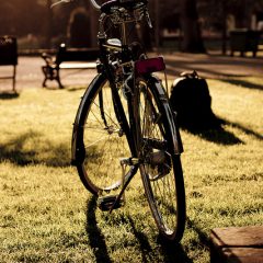 bicicletas clasicas taurus