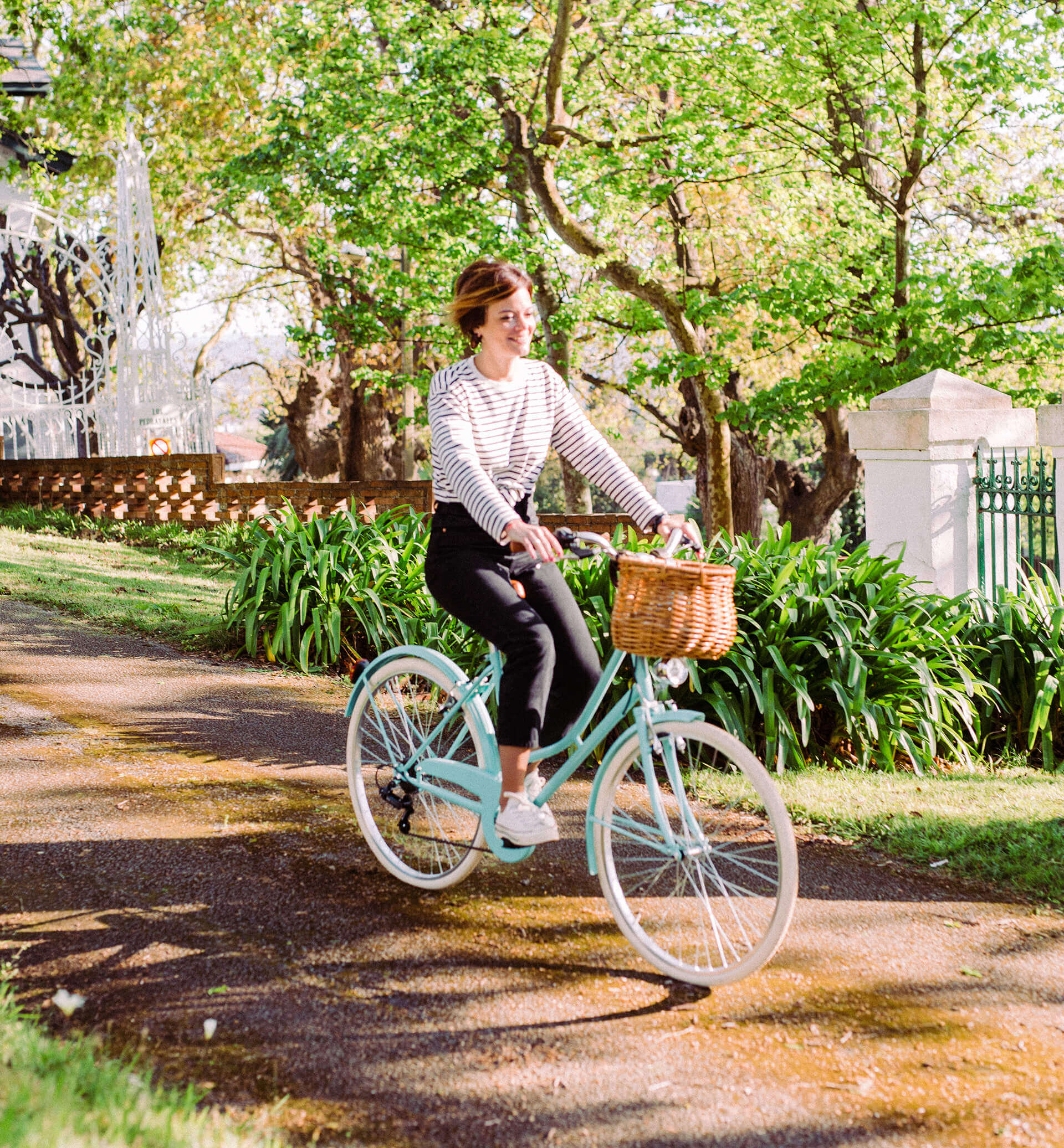 bicicletas estilo vintage