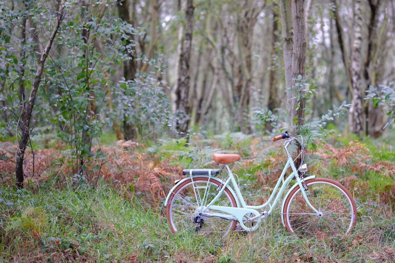 bicicleta electrica berlin verde ahorro