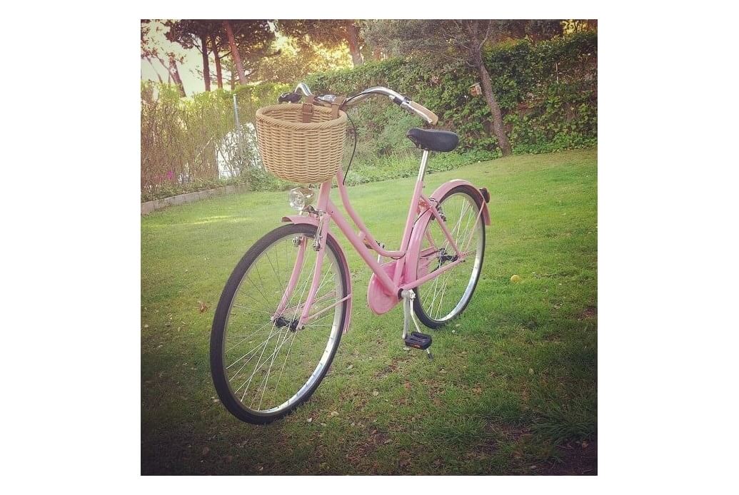 Comprar Cesta para bicicleta de mimbre Victoria Wicker natural