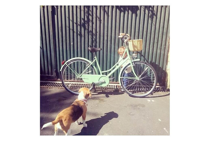 Comprar Cesta para bicicleta de mimbre Victoria Wicker natural