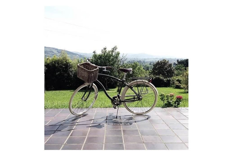 Comprar Cesta de picnic para bicicleta