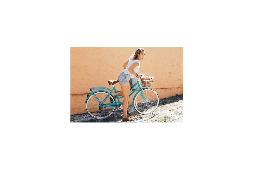 Comprar Bicicleta Holandesa de Paseo Reid Classic Plus Negro 7V - TR-BC412VLCPN 2022