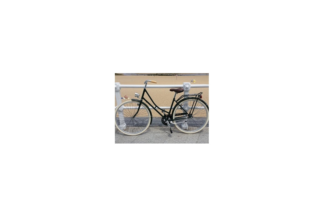 Comprar Bicicleta Holandesa Clásica Verde Contrapedal