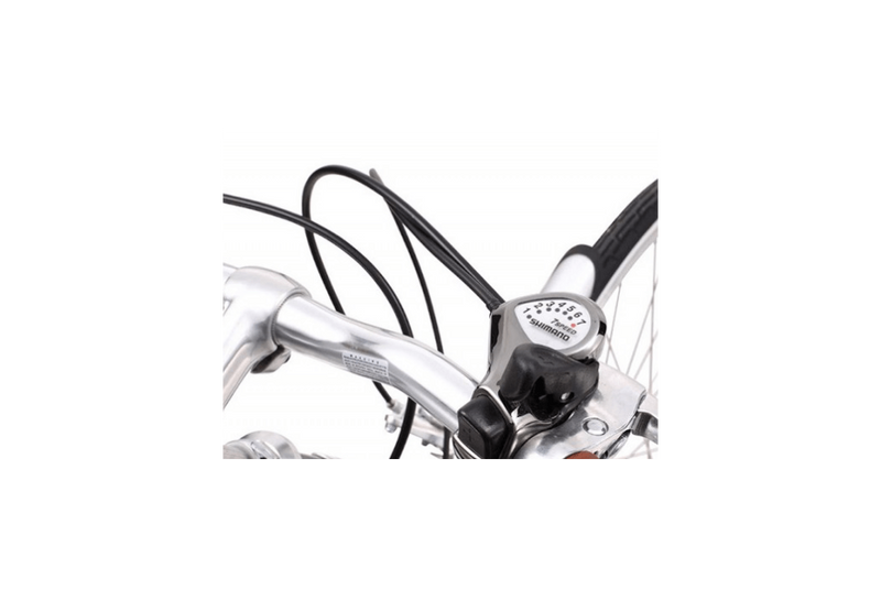 Comprar Bicicleta Urbana Mujer Reid Vintage Esprit 7V Champagne - BC414BREIDVINTCH 2022
