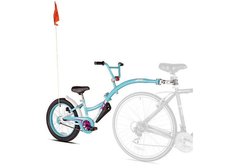 Comprar Bicicleta WeeRide Co-Pilot XT Azul