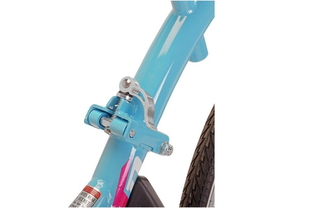 Comprar Bicicleta WeeRide Co-Pilot XT Azul