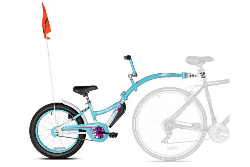 Comprar Bicicleta WeeRide Co-Pilot XT Azul