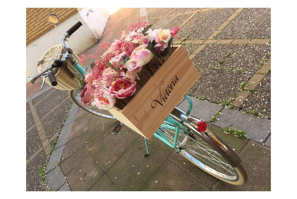 Comprar Caja de Madera para Bicicleta Victoria Láminas