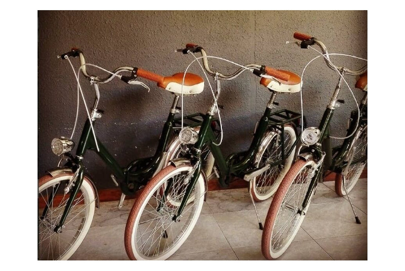 Comprar Bicicleta Plegable Bambina Verde Inglés - Reacondicionado