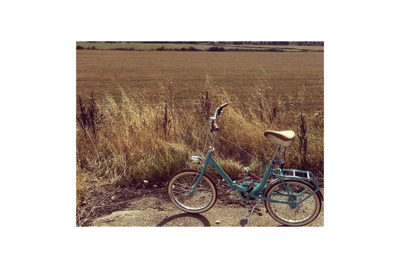 Comprar Bicicleta Plegable Bambina Verde Inglés - Reacondicionado