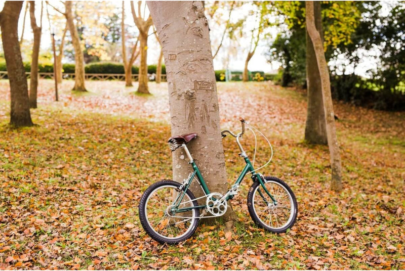 Comprar Bicicleta Plegable Capri VITA Melting Silver 20 pulgadas
