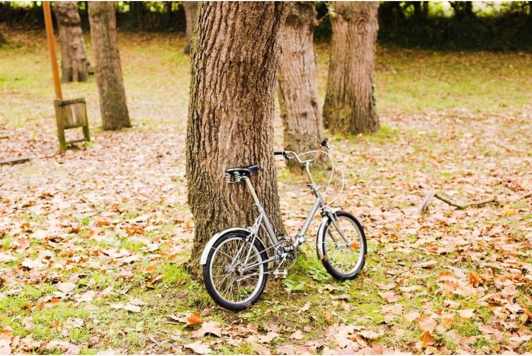 Comprar Bicicleta Plegable Capri VITA Melting Silver 20 pulgadas B-stock