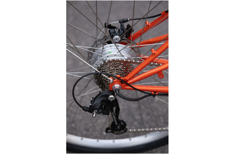 Comprar Bicicleta eléctrica Capri Azur Old Amsterdam