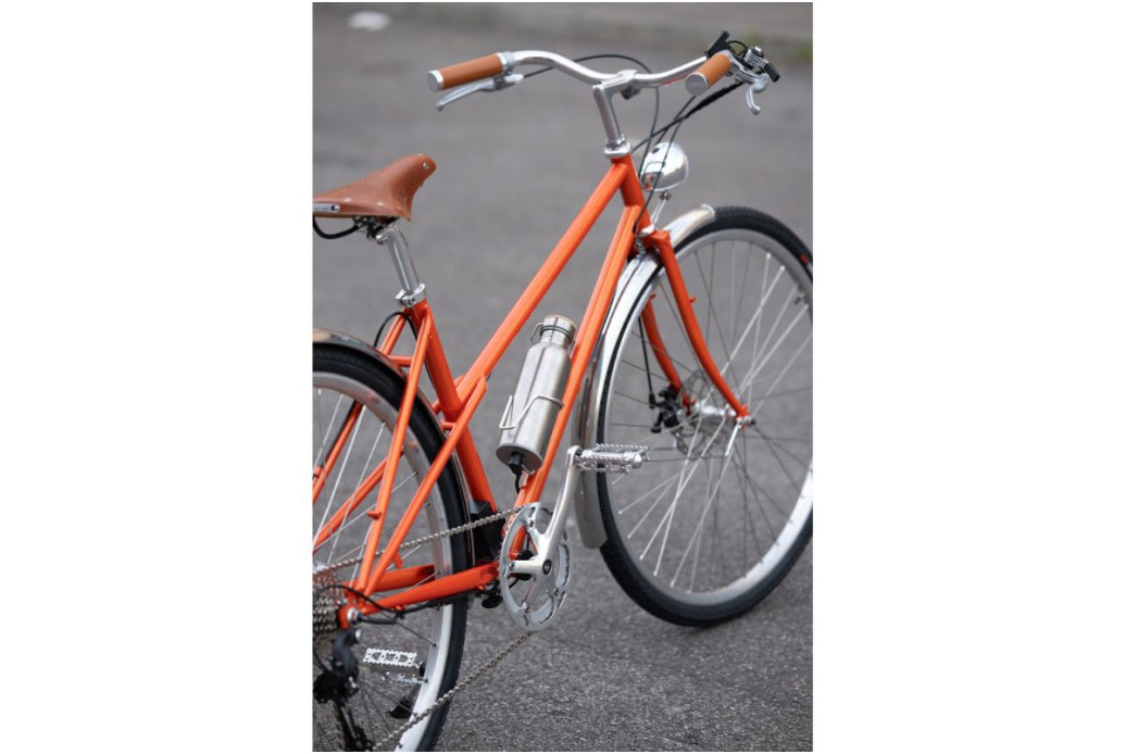 Comprar Bicicleta eléctrica Capri Azur Old Amsterdam