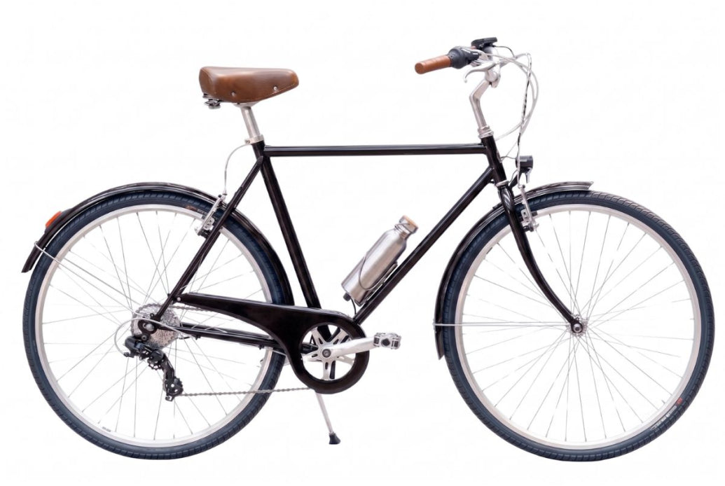 Bicicleta eléctrica Capri Vienna 2 negro 7V