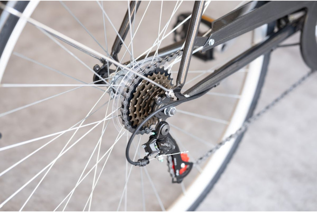 Bicicleta Capri Weimar Grafito 6V