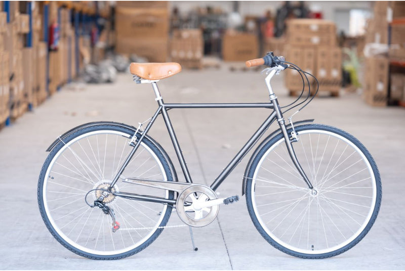 Bicicleta Capri Weimar Grafito 6V - Reacondicionada