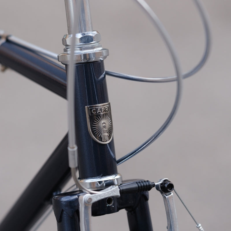 BICICLASICA