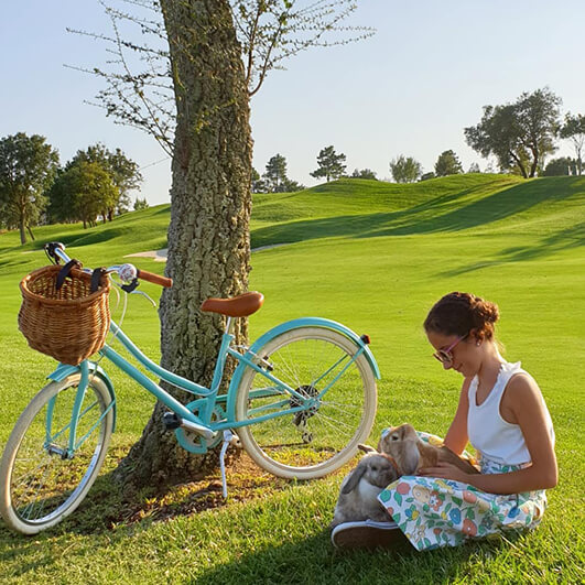 Bicicletas con Cesta